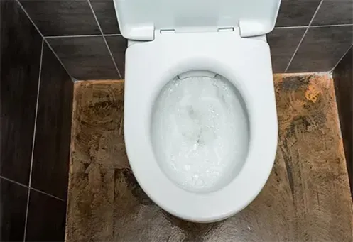 Desentupidora de Vaso Sanitário no Lajeado